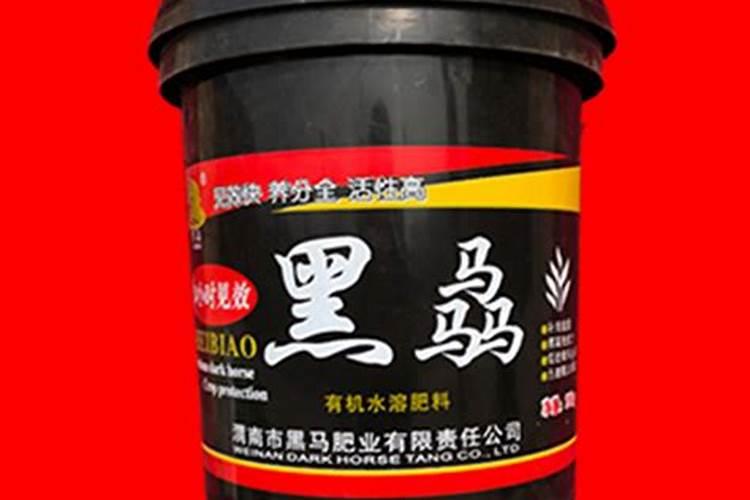 盆栽枇杷树能结果吗 盆栽枇杷树的养护方法