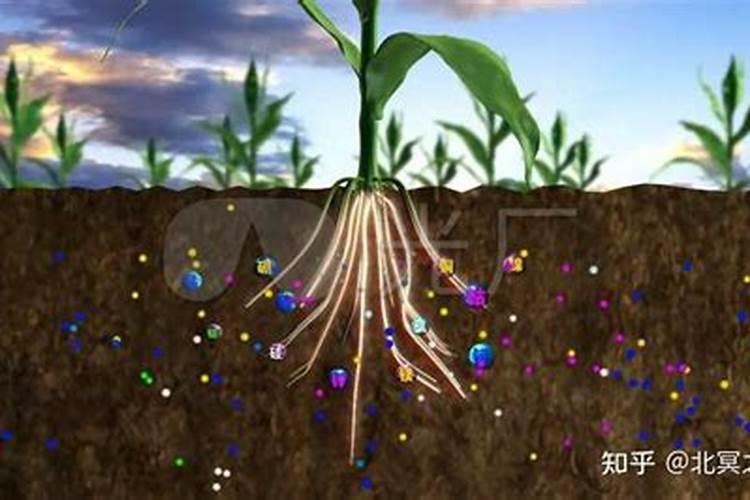 植物的根是吸收营养的,叶也能吸收营养吗