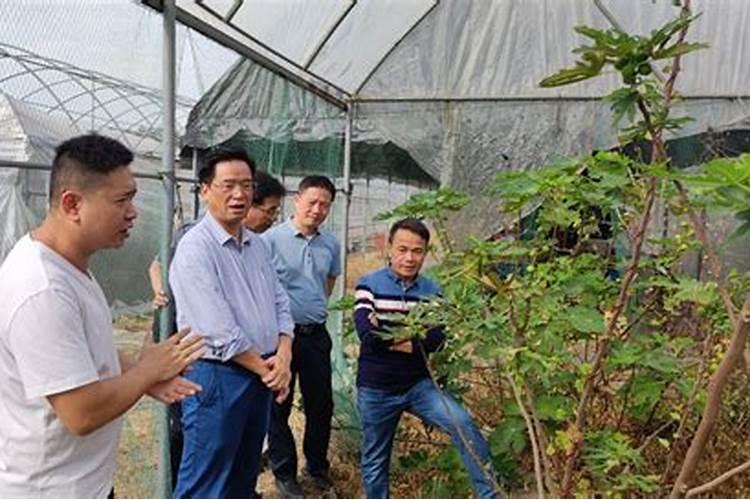 玉林化肥厂历史