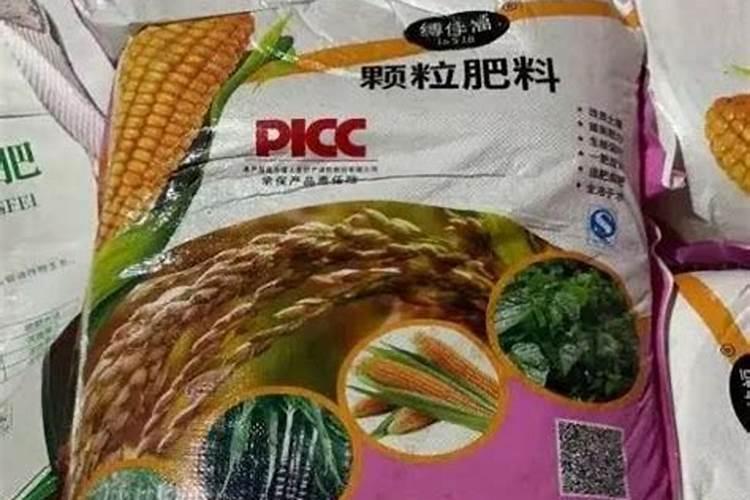 广西文革期间一些武斗事件