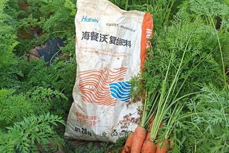 恩施土豆用什么肥料最好