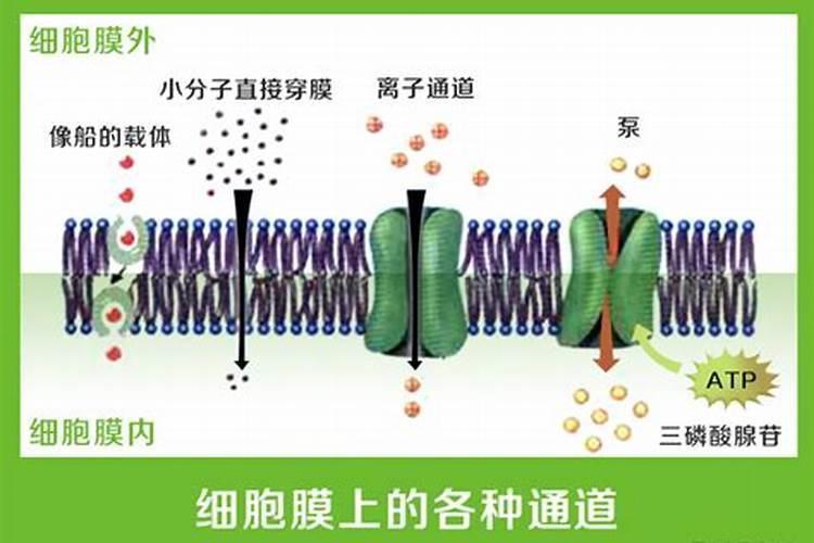 钾盐和钠盐的区别有哪些