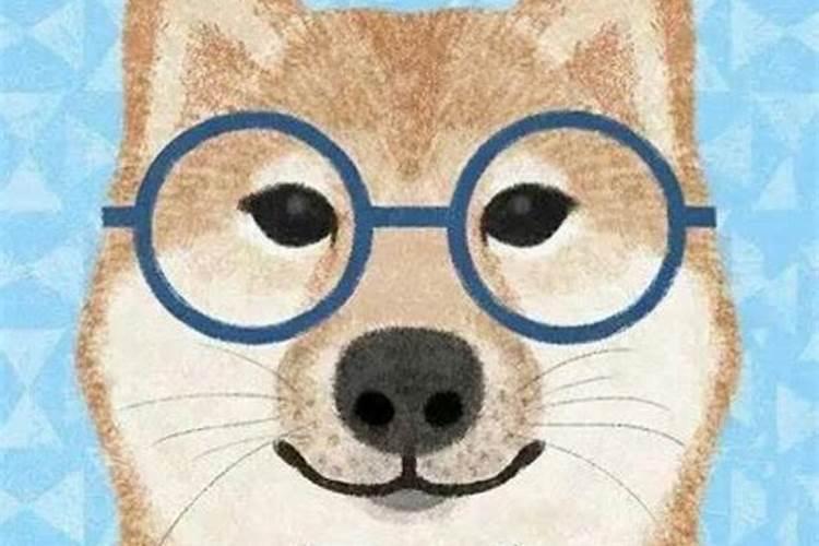 桃子成熟前半个月冲施钙肥行吗