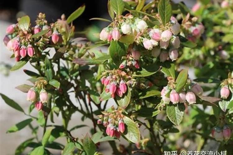 新建化肥复合肥项目有哪些