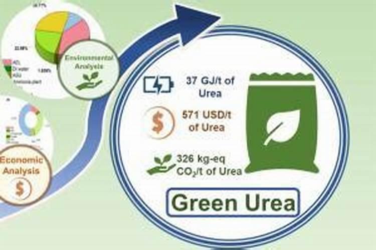绿萝用尿素施肥好吗