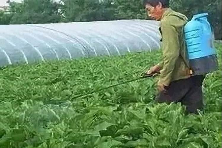 多菌灵用多了植物会死吗