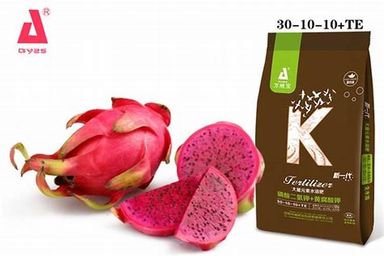 火龙果的施肥特点与管理方法