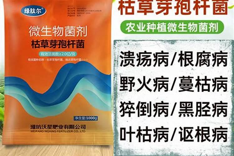 种柑橘、沙田柚,该用啥肥料壮果呀？