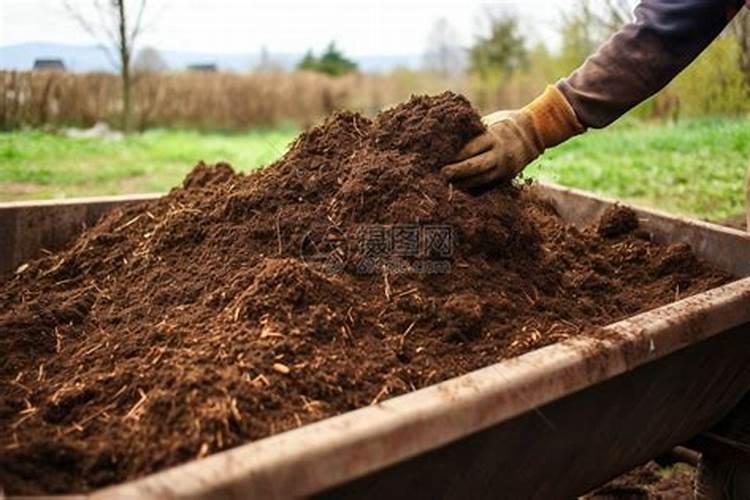 炸过食物的油可以浇花吗