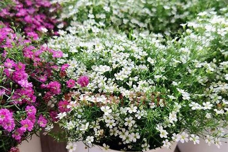 鹰潭信江一号值得买吗？