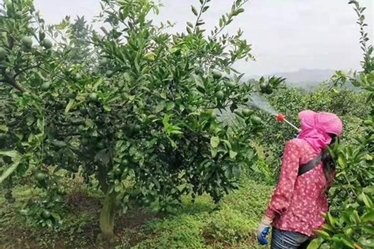 什么东西含氮肥多