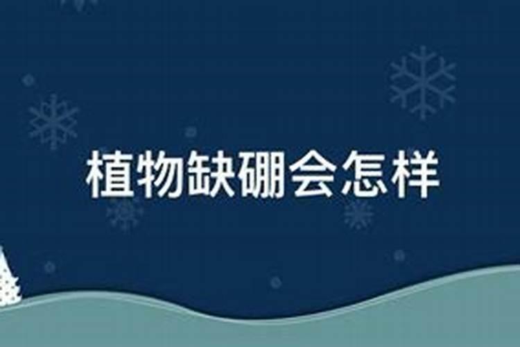 氮肥过多对水稻有什么危害 后期施的氮肥过多怎么处理