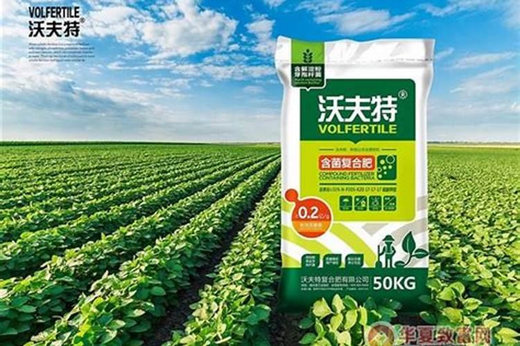 钾肥是什么肥料 植物缺少钾肥会怎么样