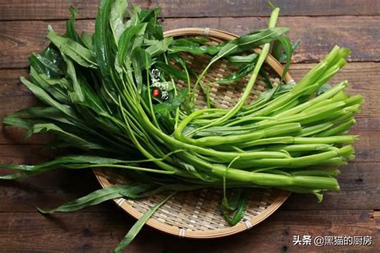 青菜施什么肥最好