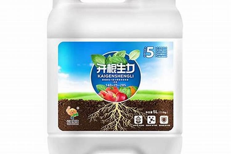 辣椒苗根部被肥料伤害怎么办 解决方法有哪些