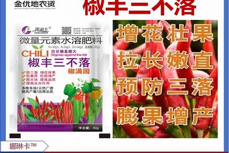 辣椒叶面肥的最佳配方与制作过程