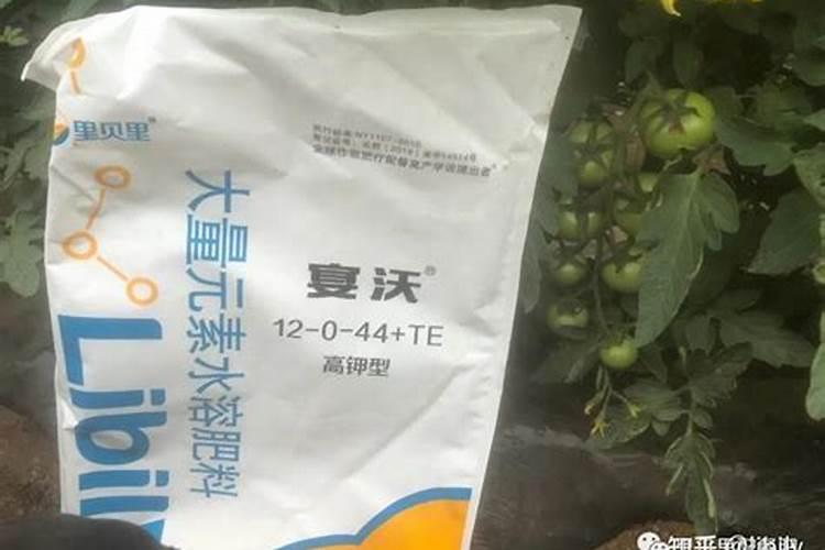 大量元素水溶肥哪个品牌好