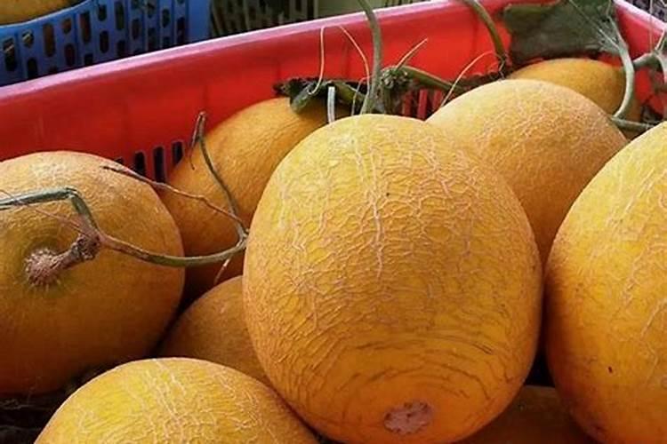 芸苔素内酯那个厂家的比较好？谁能帮我一下~QQ 