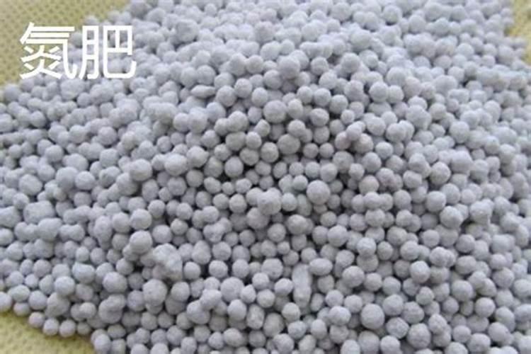 草莓什么时期用黄腐酸钾合适