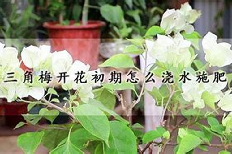 瓮安磷矿储量排名？