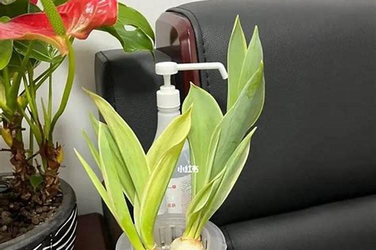 钙镁磷肥的作用及使用方法