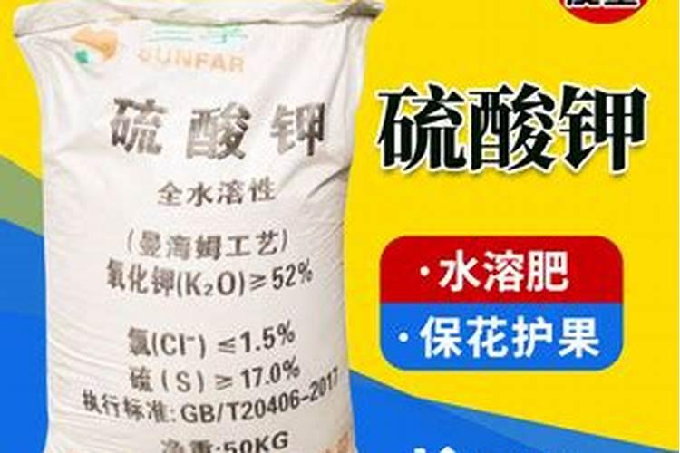 芹菜浇水冲施什么肥料