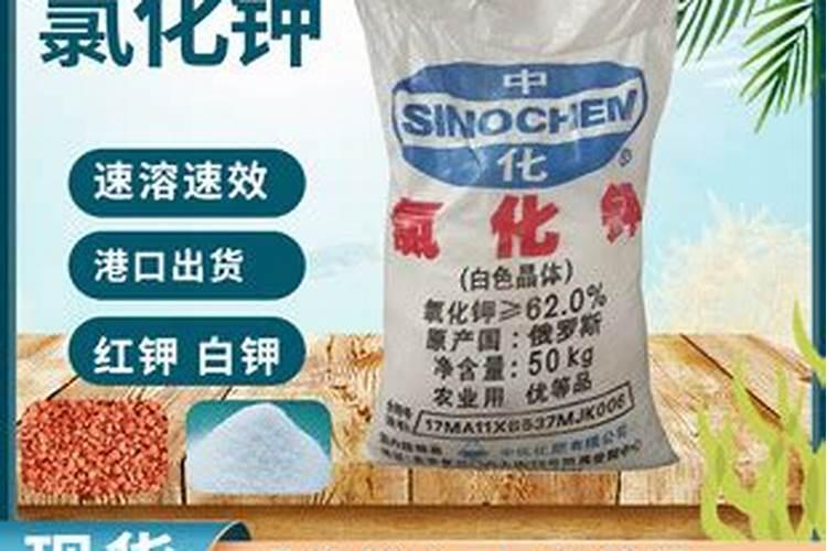 怎样辨别粉晶和白晶