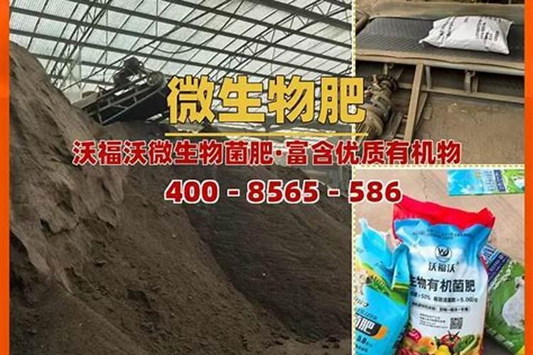 多拉美是贴牌吗