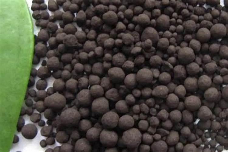 黄豆做有机肥怎么做 黄豆有机肥是酸性的还是碱性的