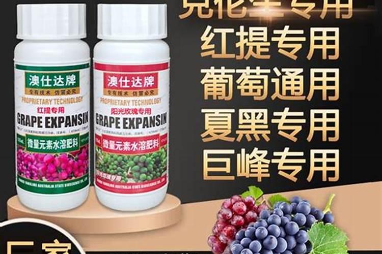 代表春天的成语