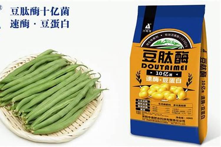 硅肥在果树上如何施用