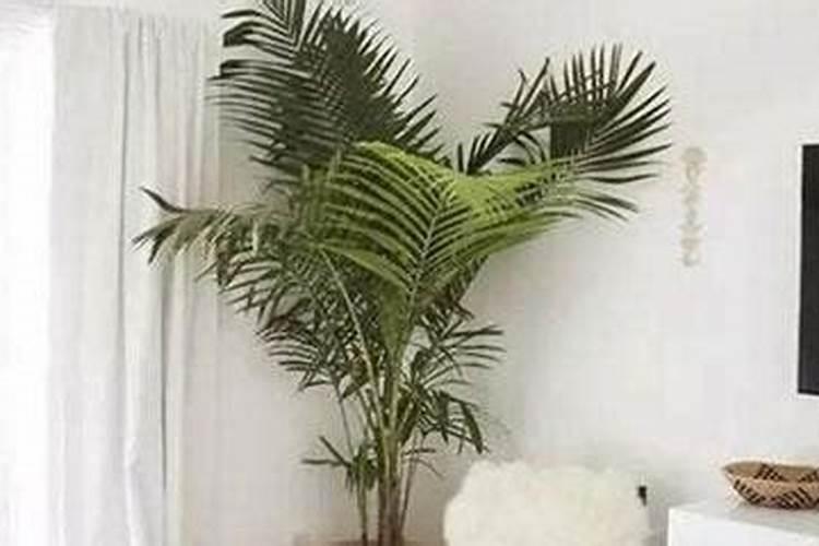 为什么控释肥那么贵？