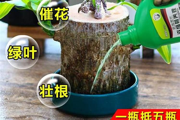 硅肥营养液怎么用