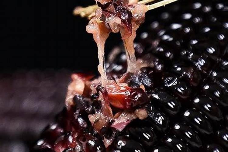 水溶肥和液体肥有什么区别