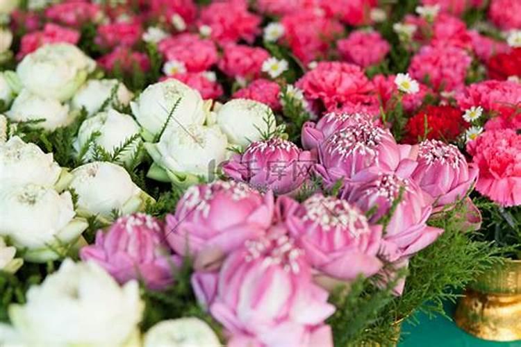昙花的养殖心得 昙花怎么养能开花