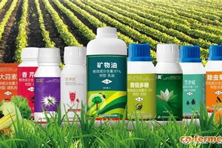 多宝手串里常见的珠子有哪些种类？