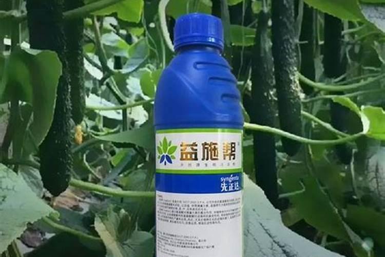 蔬菜叶面肥木醋液市场