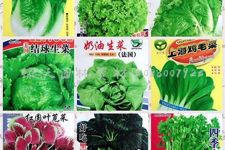 山竹专用冲施肥哪种好？冲施肥什么品牌好？冲施肥价格多少？