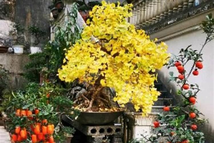 蔬菜补充锌肥需要注意哪些问题