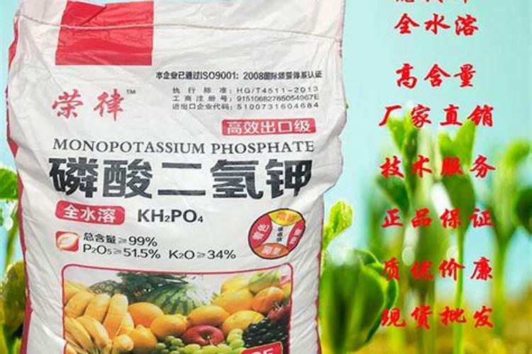 日本农业为什么发达呢