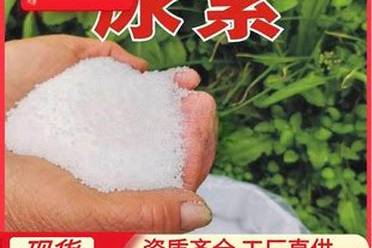 花生追肥用复合肥还是尿素