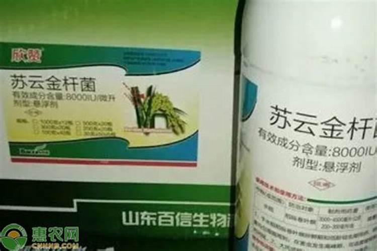 农药叶面肥混用注意哪些问题