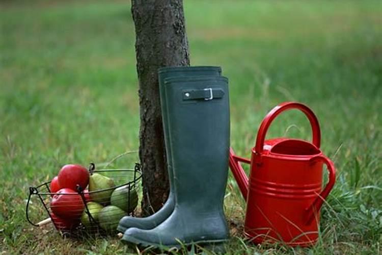 江西中微肥木醋液