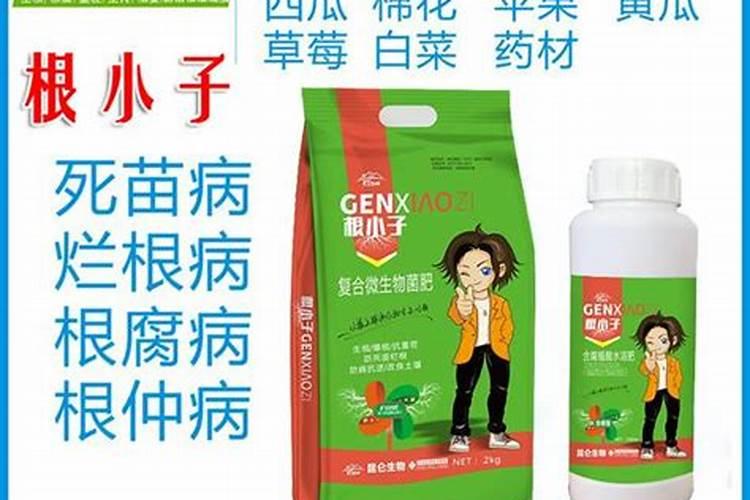 颗粒硼肥料推荐正品