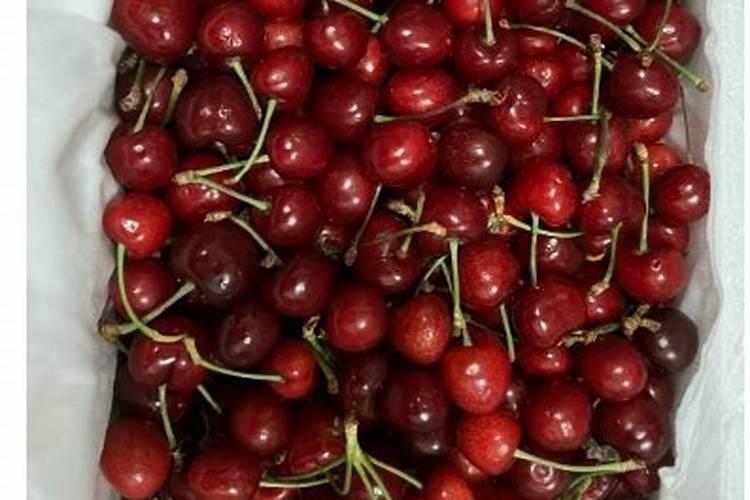 樱桃施什么肥最大最甜