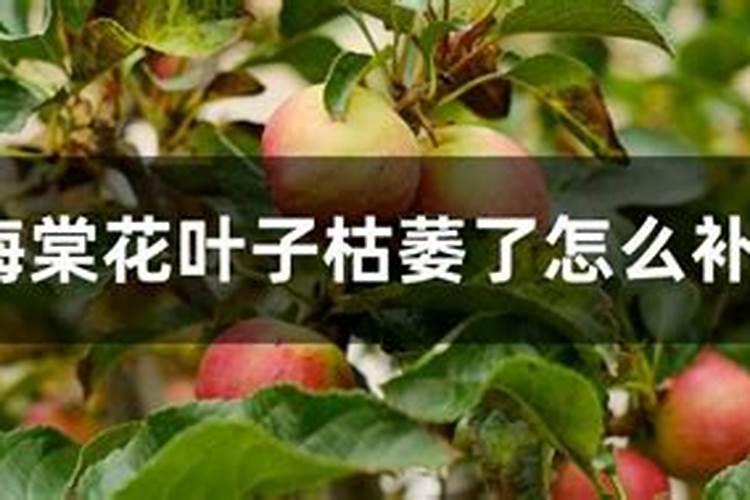 黄豆发酵后是磷钾肥吗