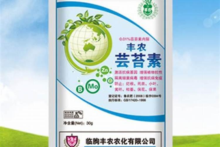 叶面肥芸苔素鱼蛋白与有机肥混打蓝莓树行不行最佳解决方法