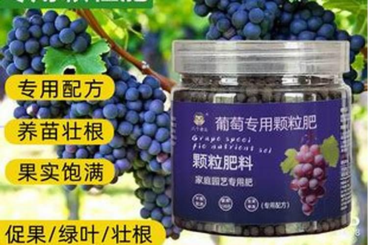 新疆没有哈尔滨的物价也没有