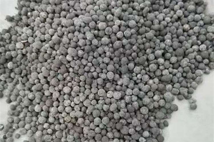 橘子发霉在家里怎么处理