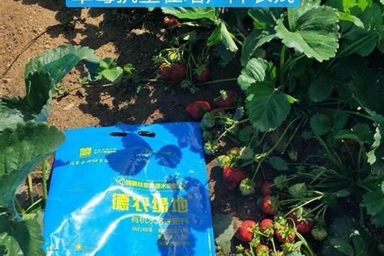 绿地龙这个冲施肥能给韭菜冲施吗？